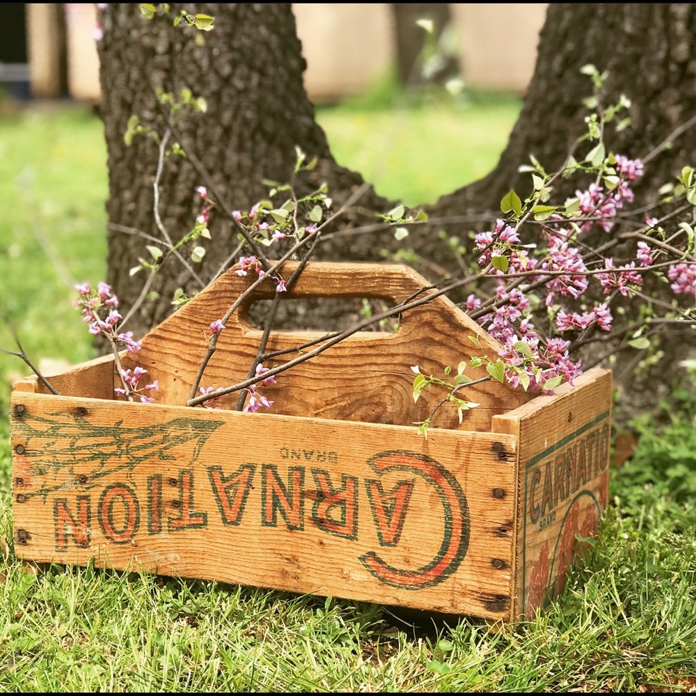Primitive Wooden Box Carnation Depression Era